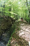 MZ44CanaldeBeaumontIMG 4770